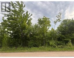 Lot Tay Falls Road, Woodlands, New Brunswick