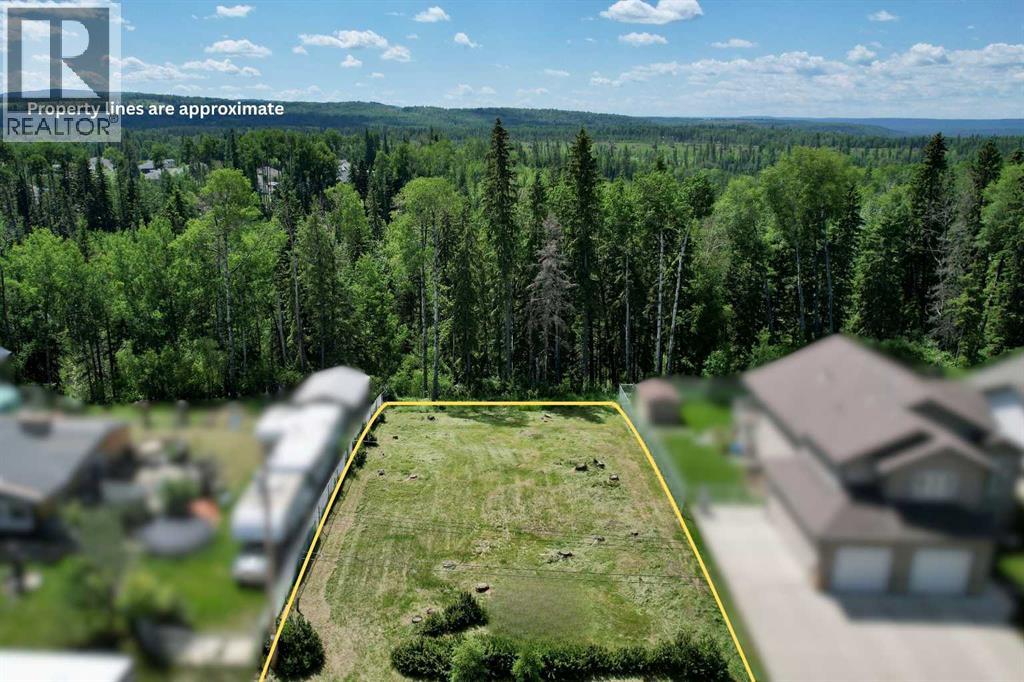 47 Beaver Drive, Whitecourt, Alberta  T7S 1G5 - Photo 1 - A2294412