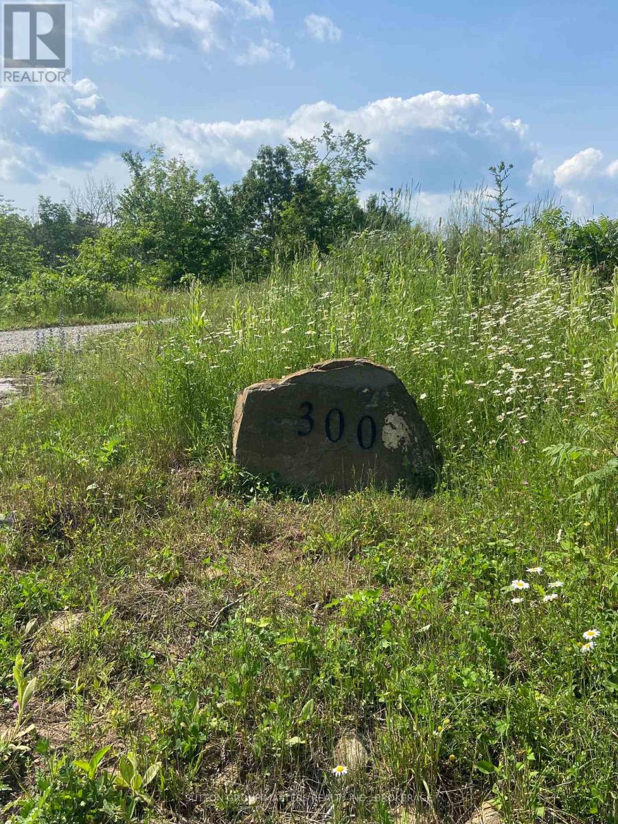 300 Woodcocks Mills Road, Stone Mills (Stone Mills), Ontario  K0K 3G0 - Photo 7 - X13517102