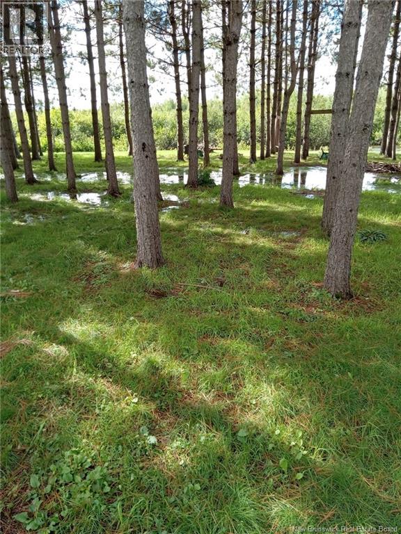 1.84 Acres Route 135, Rang-Saint-Georges, New Brunswick E8R 2C1 - Photo 12 - NB142872