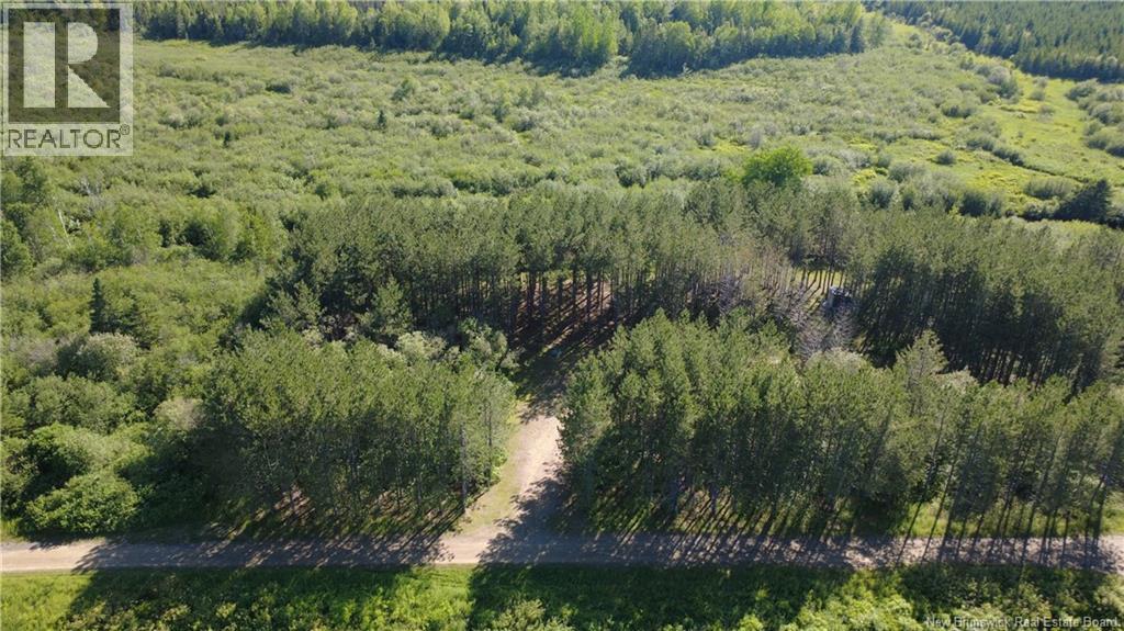 1.84 Acres Route 135, Rang-Saint-Georges, New Brunswick E8R 2C1 - Photo 5 - NB142872