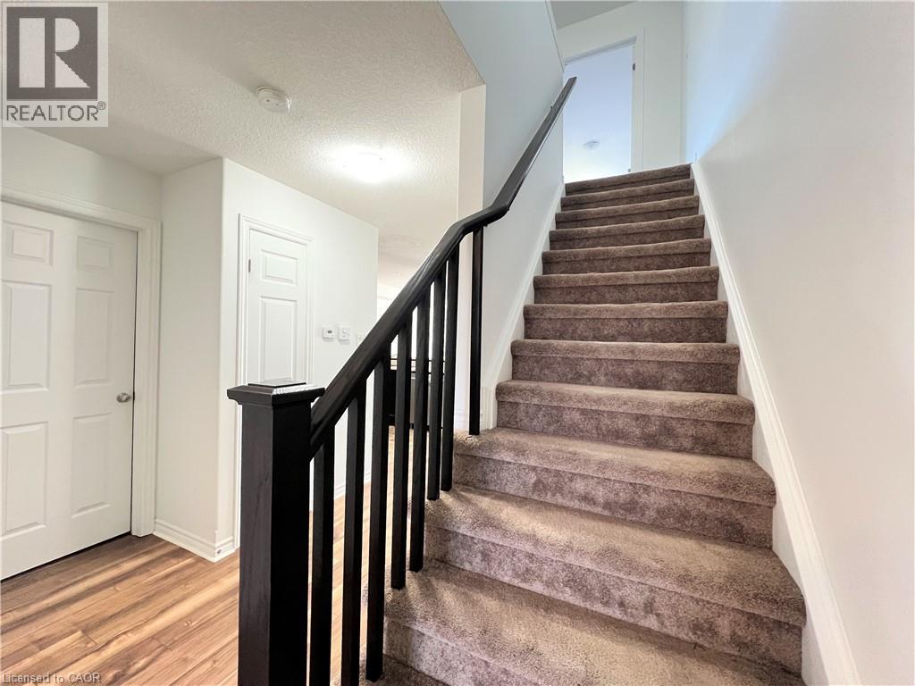 46 Renfrew Street, Kitchener, Ontario  N2R 0G5 - Photo 13 - 40844505