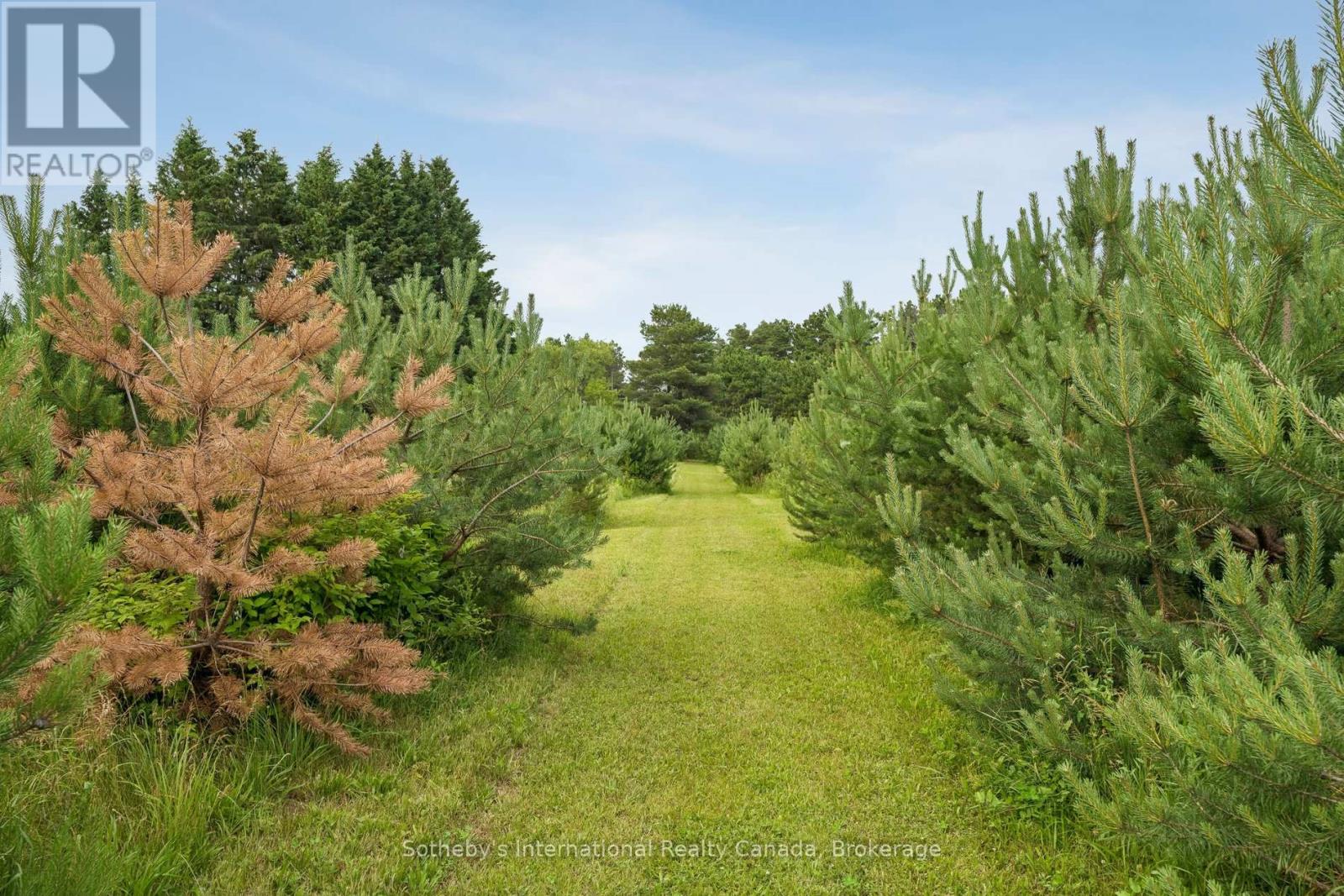 938400 Airport Road, Mulmur, Ontario  L9V 0M1 - Photo 45 - X13517396