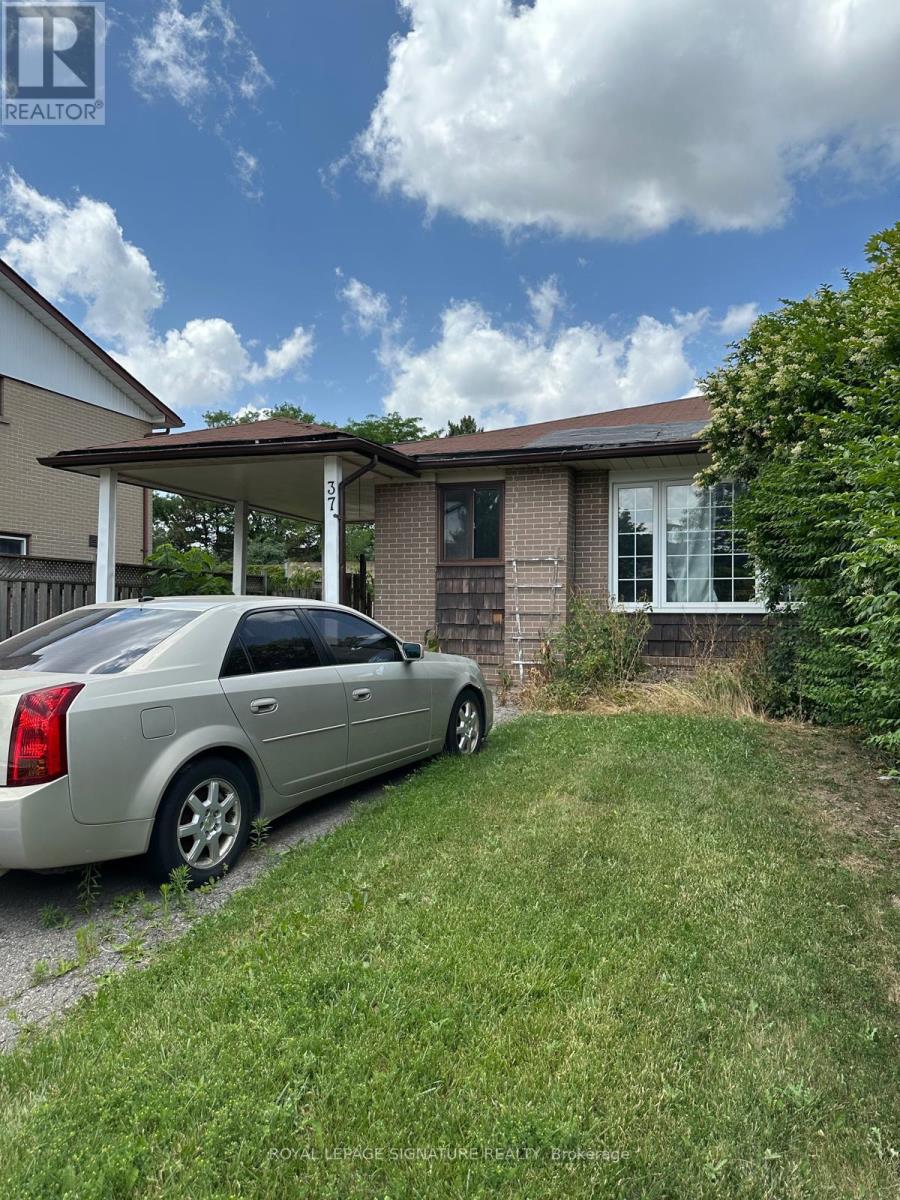 37 Flamingo Crescent, Brampton, Ontario  L6T 2G6 - Photo 1 - W13517368