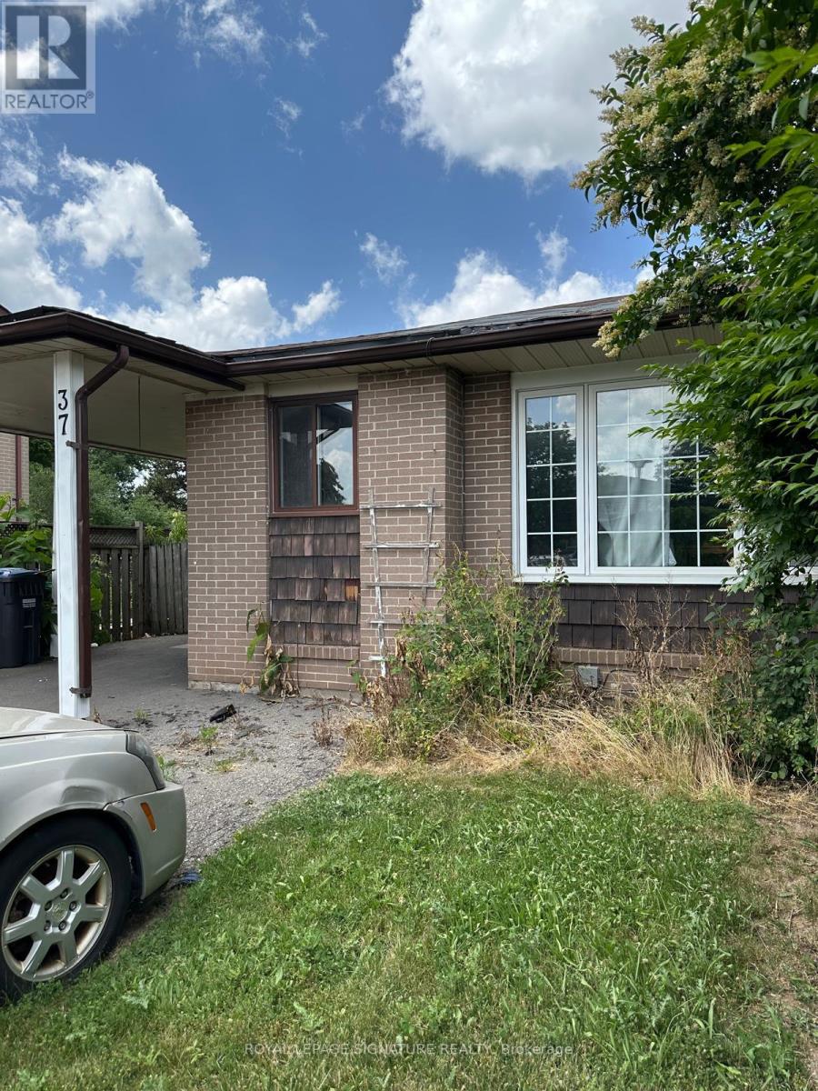 37 Flamingo Crescent, Brampton, Ontario  L6T 2G6 - Photo 3 - W13517368