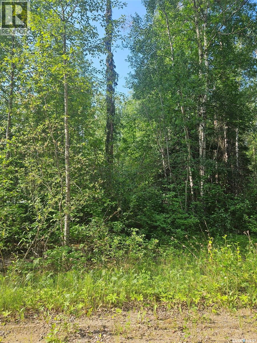 908 Lynx Place, Northern Admin District, Saskatchewan  S0J 3G0 - Photo 3 - SK041395