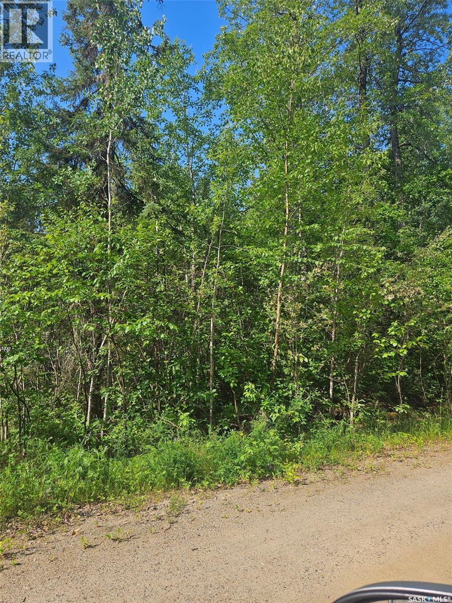 908 Lynx Place, Northern Admin District, Saskatchewan  S0J 3G0 - Photo 4 - SK041395