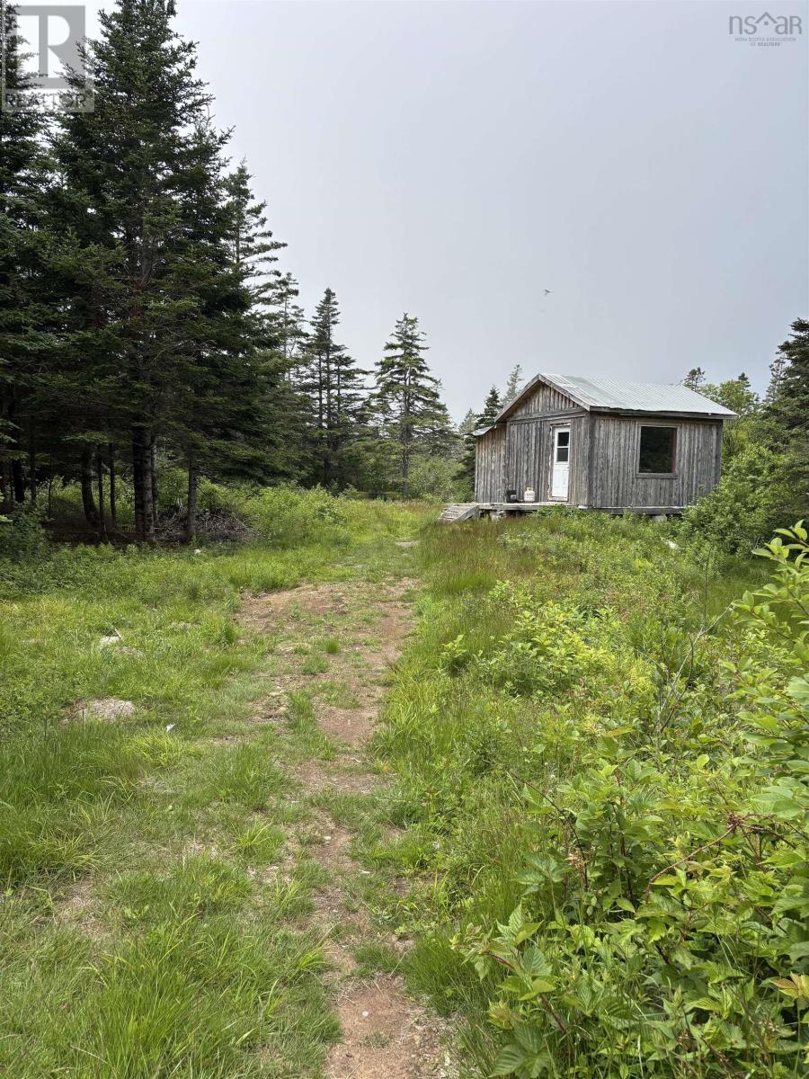 picture 24