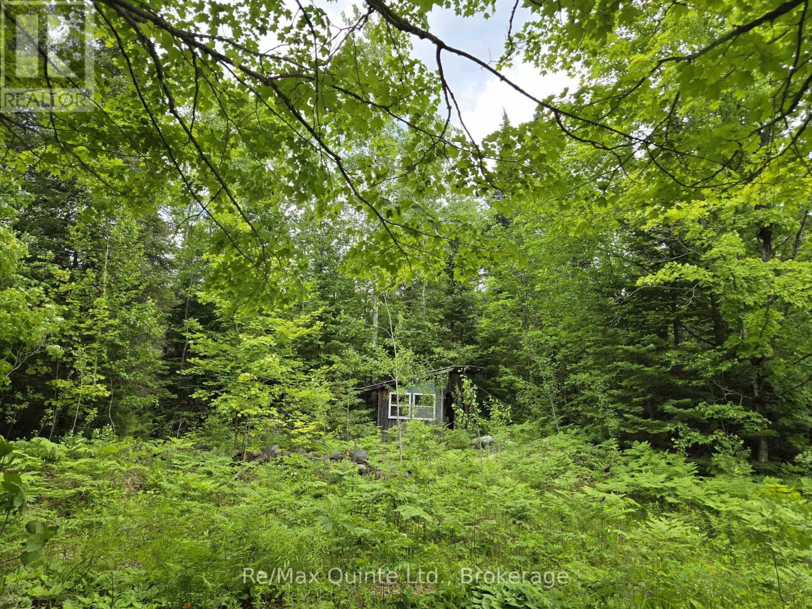 40 Marquardt Road, Addington Highlands, Ontario  K0H 1K0 - Photo 13 - X13070140