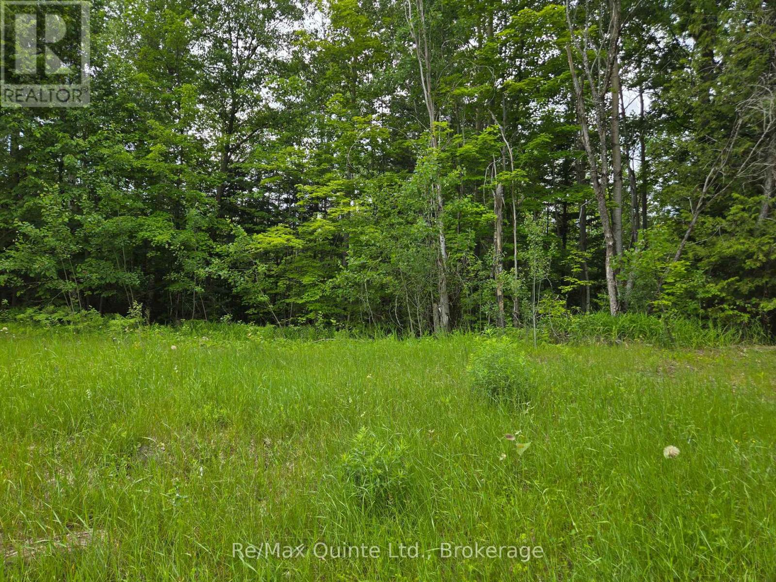 40 Marquardt Road, Addington Highlands, Ontario  K0H 1K0 - Photo 14 - X13070140