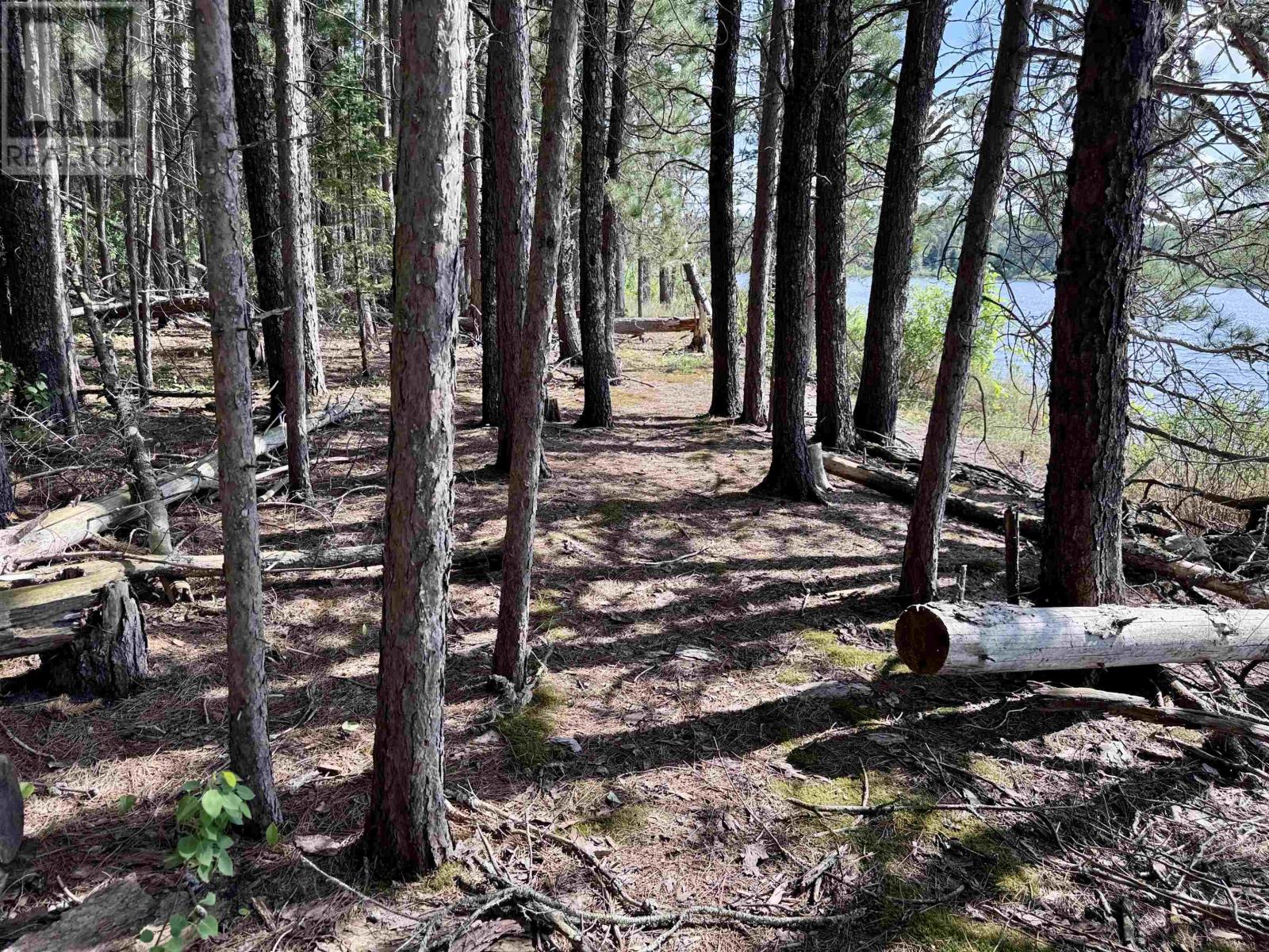 Pcl 25789 Wasaw Rd, Devlin, Ontario  P0W 1C0 - Photo 27 - TB2601774