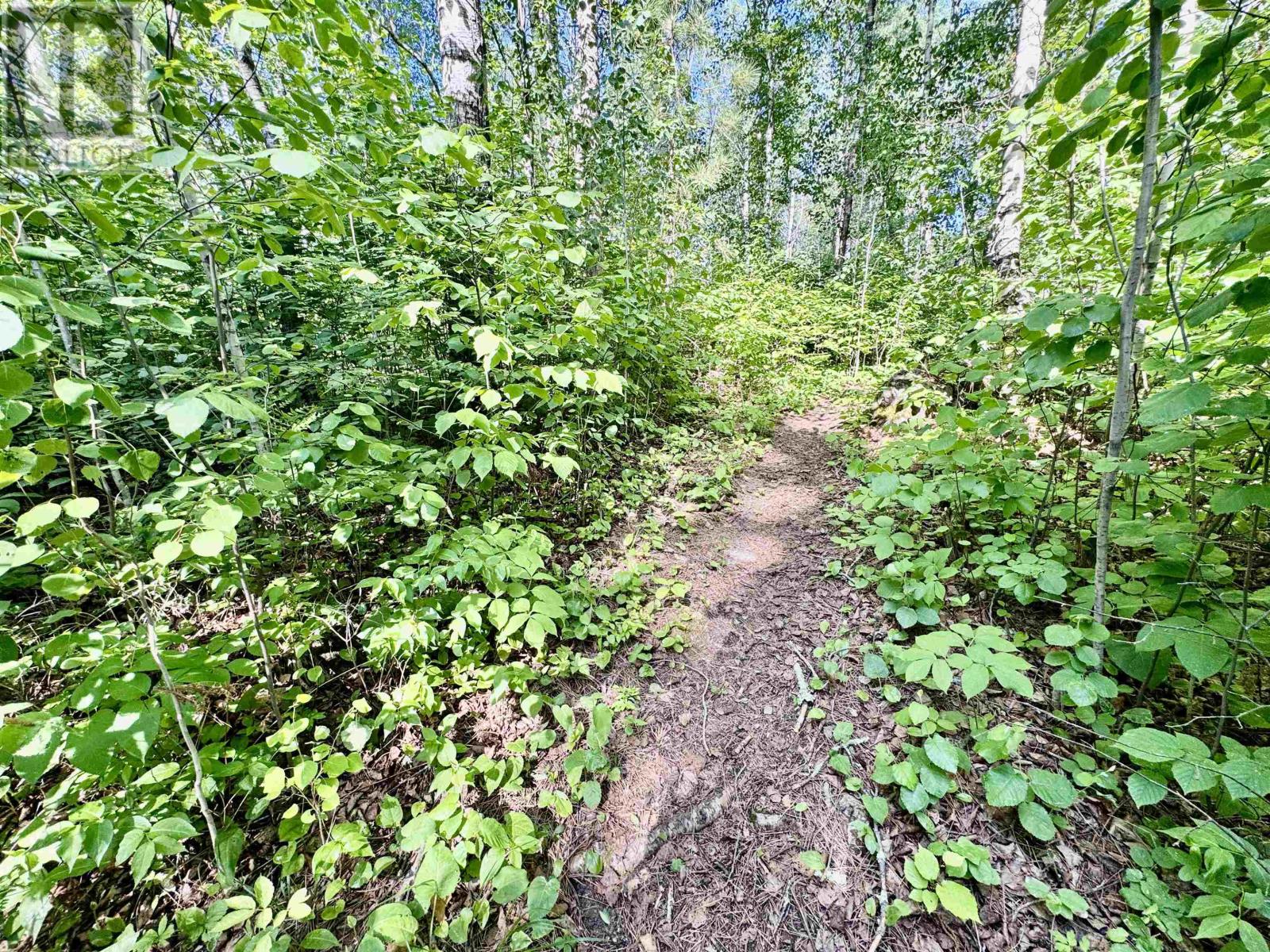Pcl 25789 Wasaw Rd, Devlin, Ontario  P0W 1C0 - Photo 38 - TB2601774
