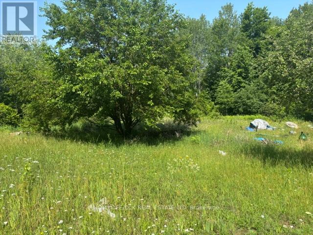 8300 Klitbo Road, Augusta, Ontario K0G 1R0 - Photo 11 - X13518292