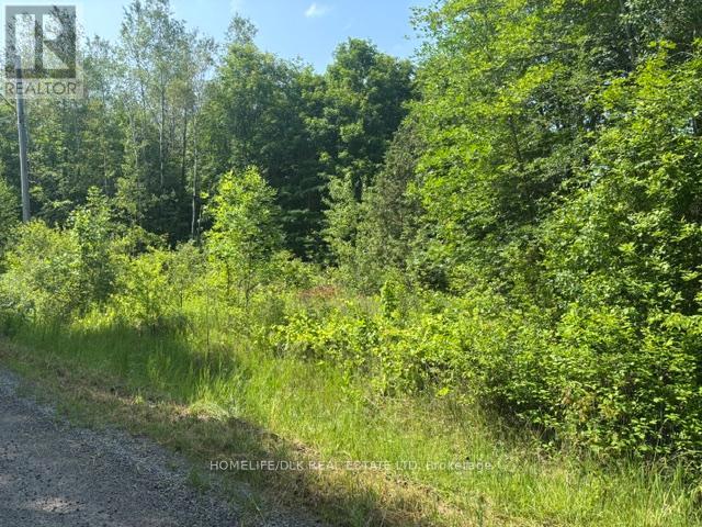 8300 Klitbo Road, Augusta, Ontario K0G 1R0 - Photo 4 - X13518292