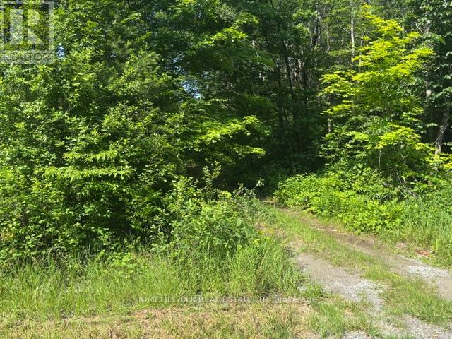 8300 Klitbo Road, Augusta, Ontario K0G 1R0 - Photo 5 - X13518292