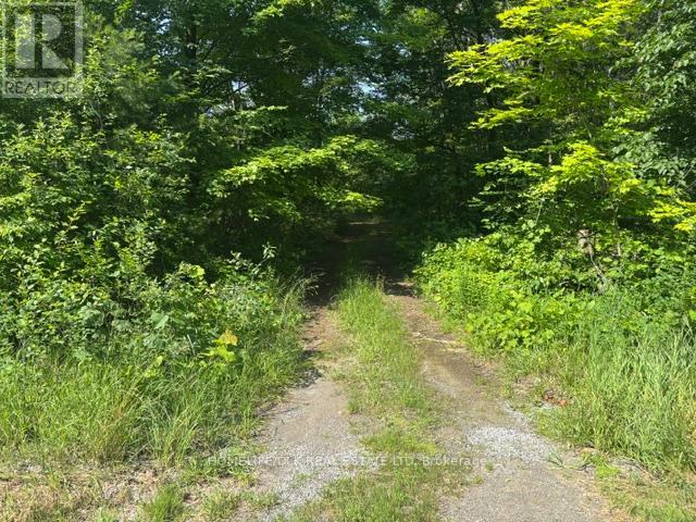 8300 Klitbo Road, Augusta, Ontario K0G 1R0 - Photo 6 - X13518292