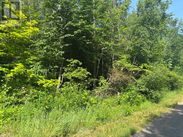 8300 Klitbo Road, Augusta, Ontario K0G 1R0 - Photo 7 - X13518292