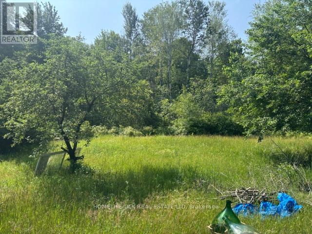 8300 Klitbo Road, Augusta, Ontario K0G 1R0 - Photo 9 - X13518292