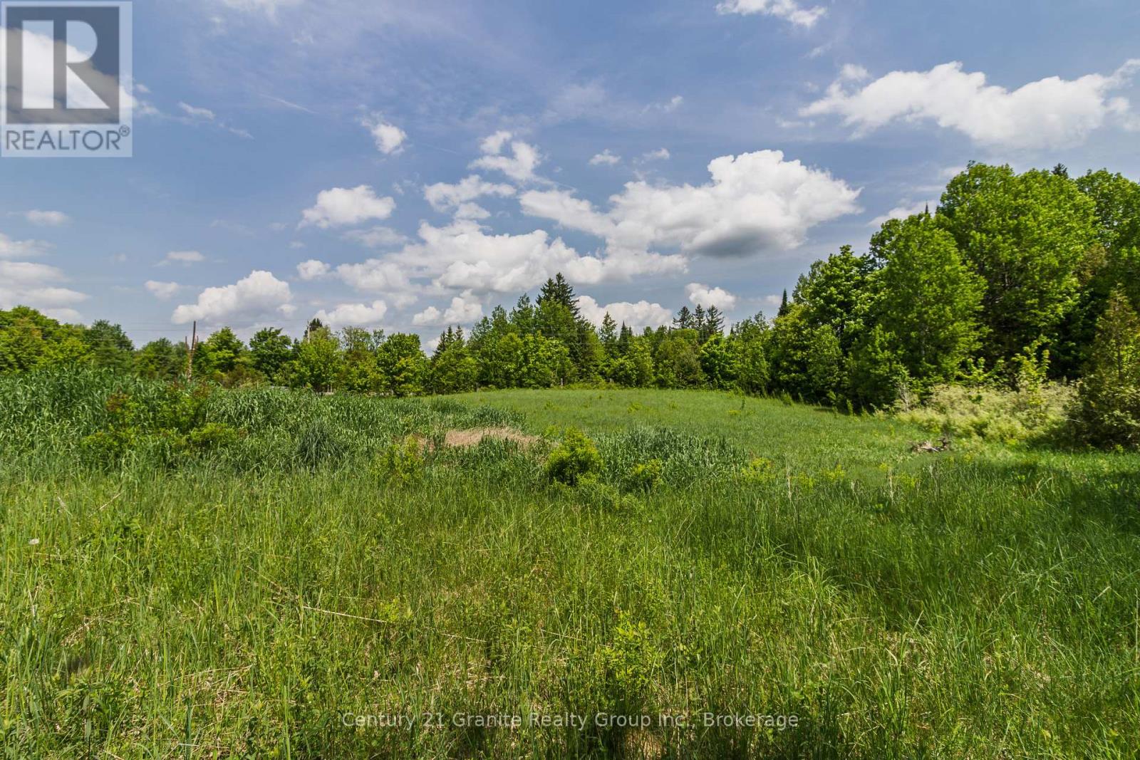 0 Highway 118, Highlands East, Ontario  K0L 2Y0 - Photo 4 - X13518298