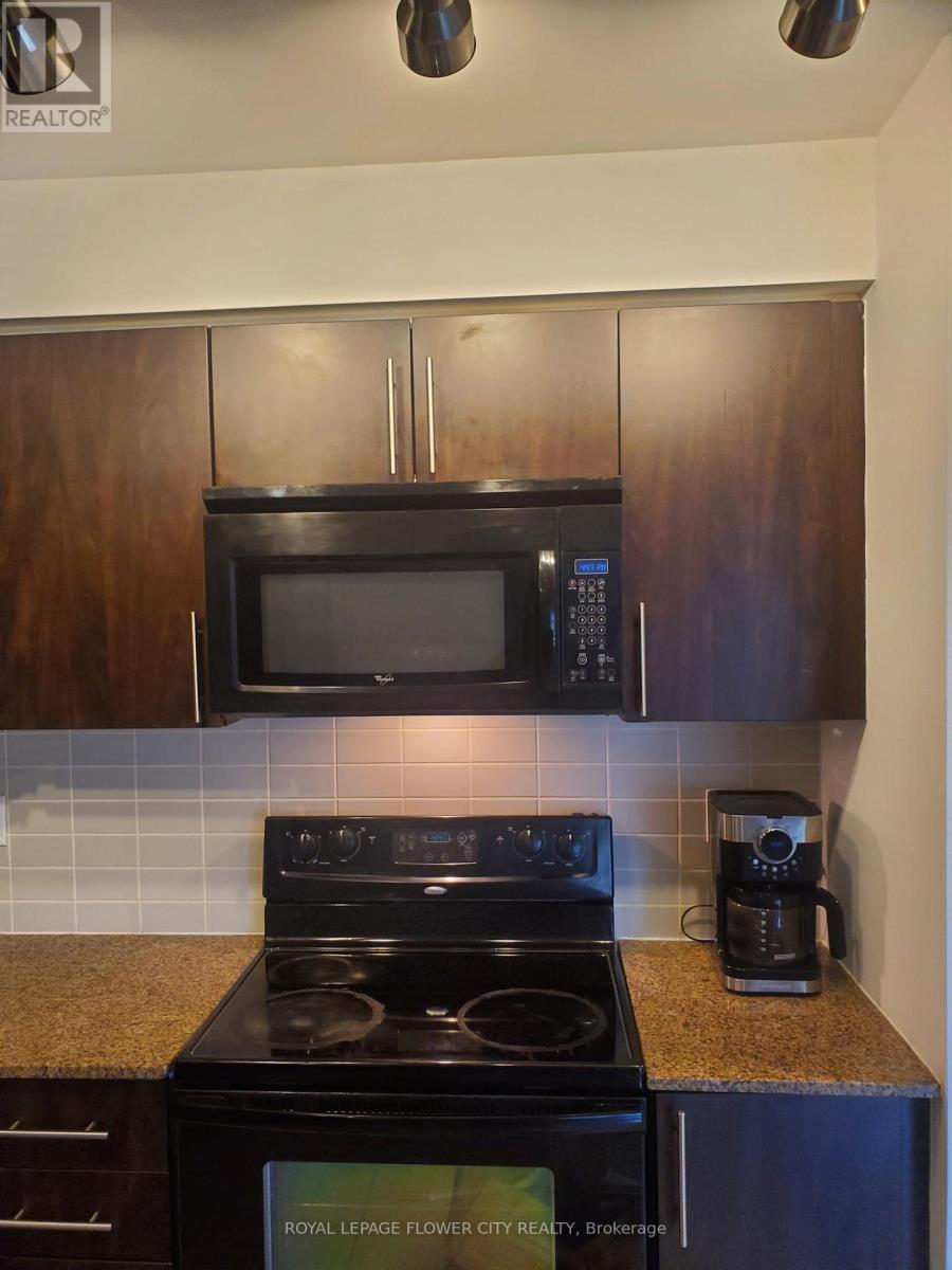 505 - 50 Clegg Road, Markham, Ontario  L6G 0C6 - Photo 4 - N13518430