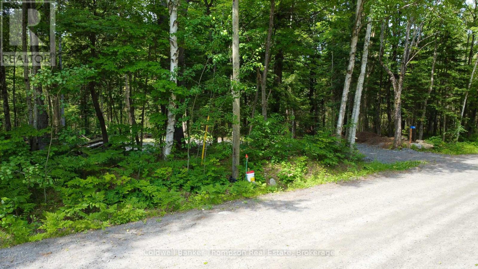 50 Concession 2 And 3 West Road W, Huntsville, Ontario  P1H 2J3 - Photo 5 - X13518546