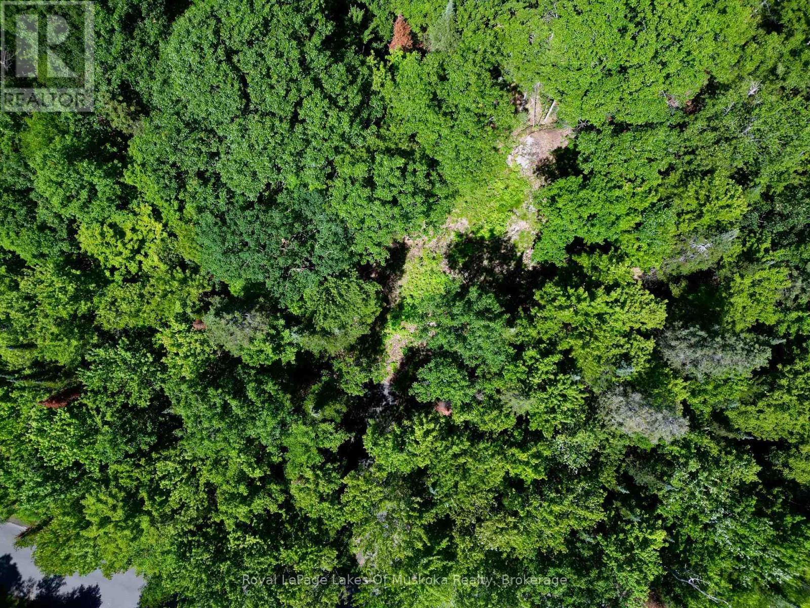 Lot 6 Fairy Falls Road, Lake Of Bays, Ontario  P0B 1A0 - Photo 3 - X13518900