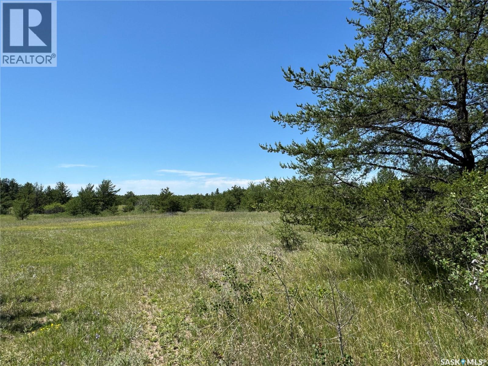 Rm Of Duck Lake Lot, Duck Lake Rm No. 463, Saskatchewan  S6V 5R1 - Photo 2 - SK041419