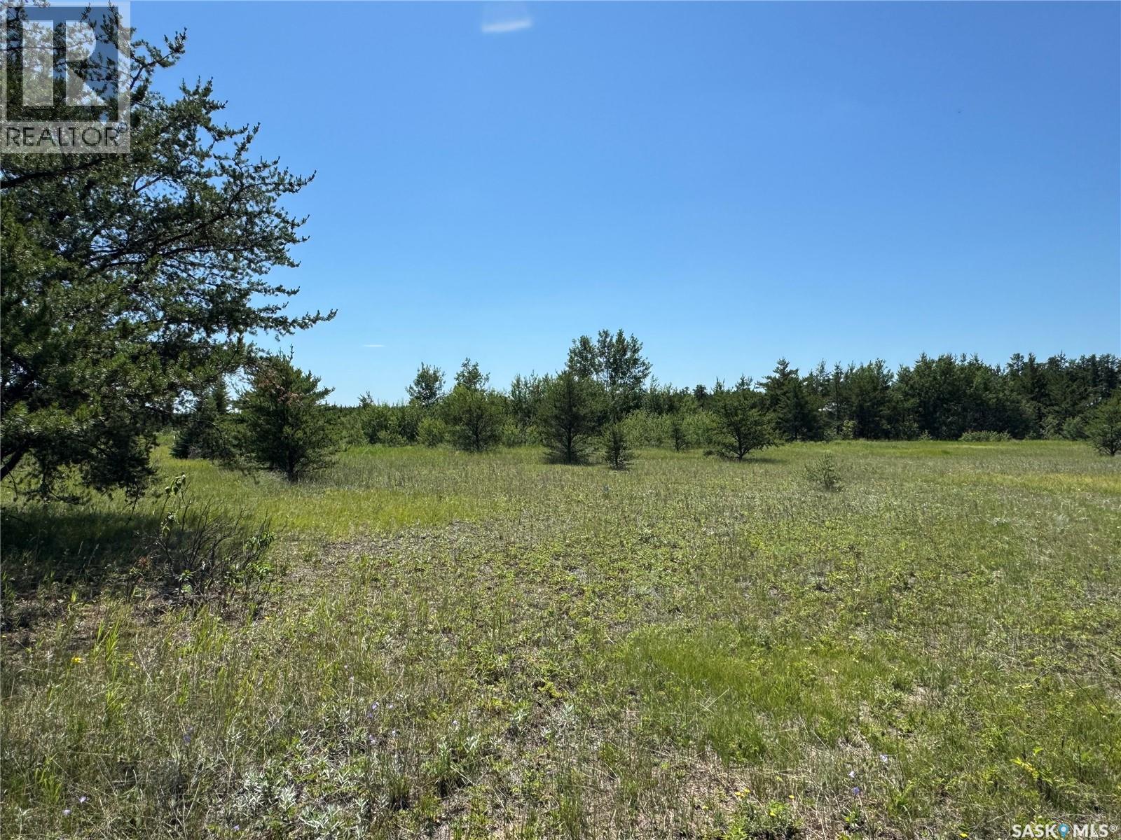 Rm Of Duck Lake Lot, Duck Lake Rm No. 463, Saskatchewan  S6V 5R1 - Photo 3 - SK041419