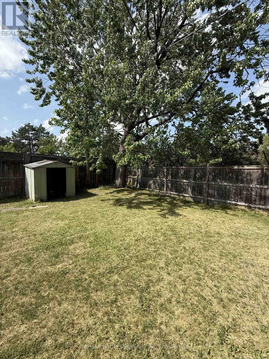 Basement - 23 Dunwich Place, Brampton, Ontario  L6T 1K3 - Photo 14 - W13519320