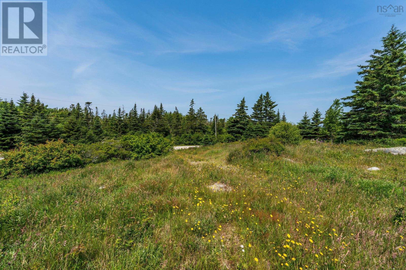 21 Bear Point Road, Bear Point, Nova Scotia  B0W 3B0 - Photo 26 - 202616458