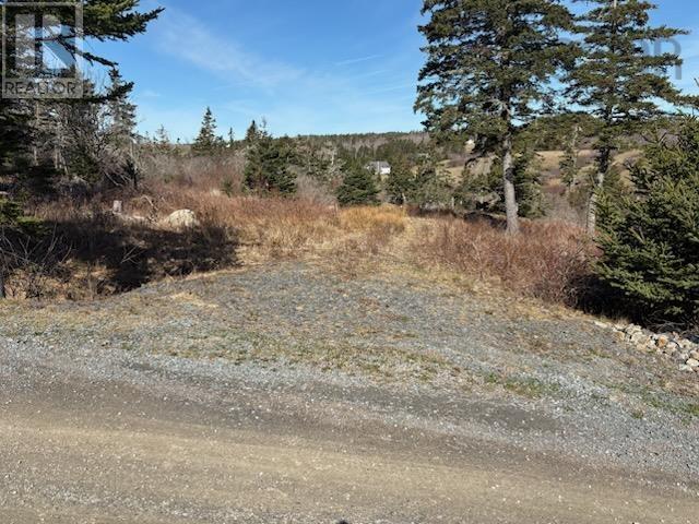 Hirtles Beach Road, Kingsburg, Nova Scotia  B0J 2X0 - Photo 2 - 202604050