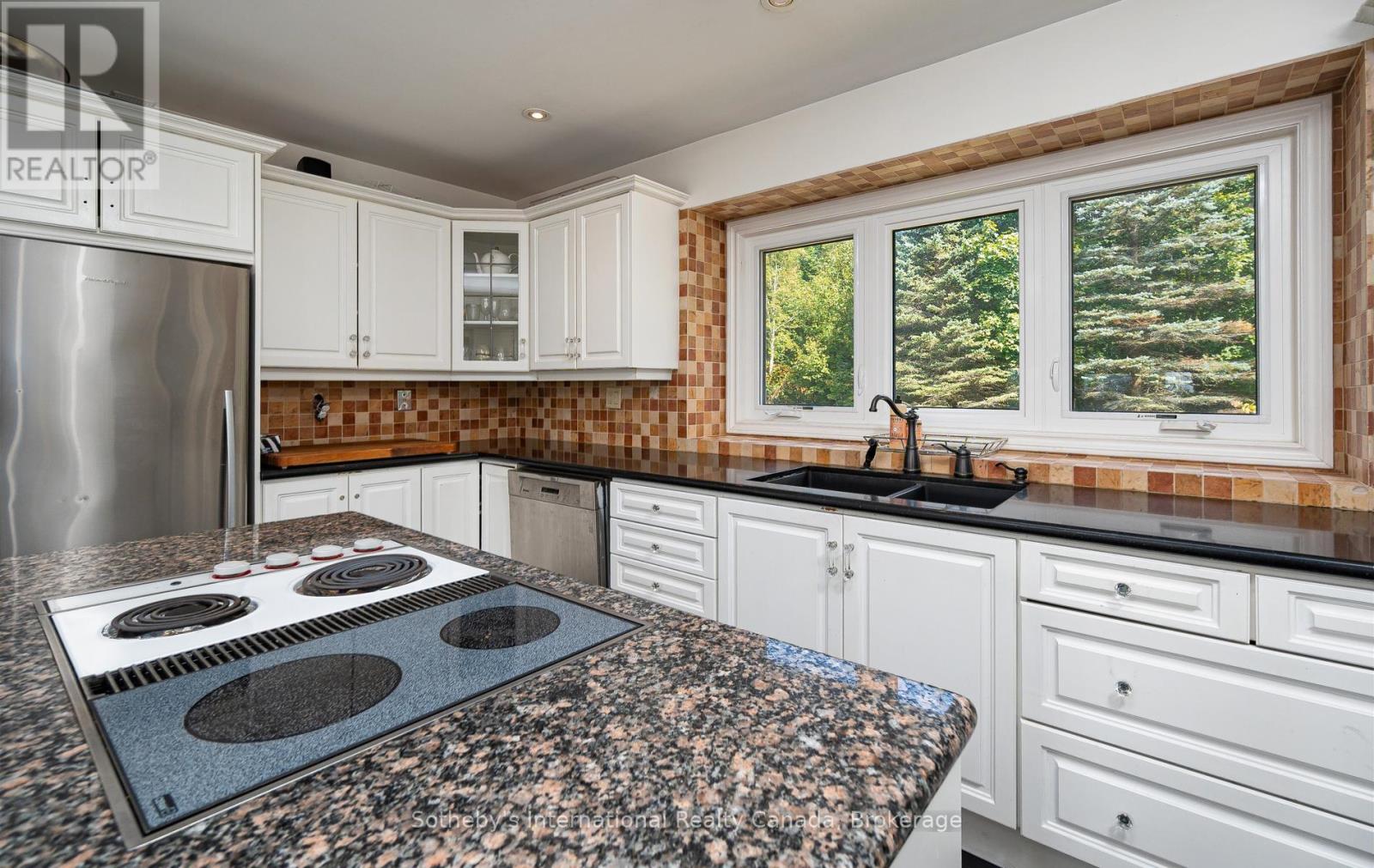 203 Ski Hill Road, Kawartha Lakes, Ontario  L0A 1A0 - Photo 17 - X13519538