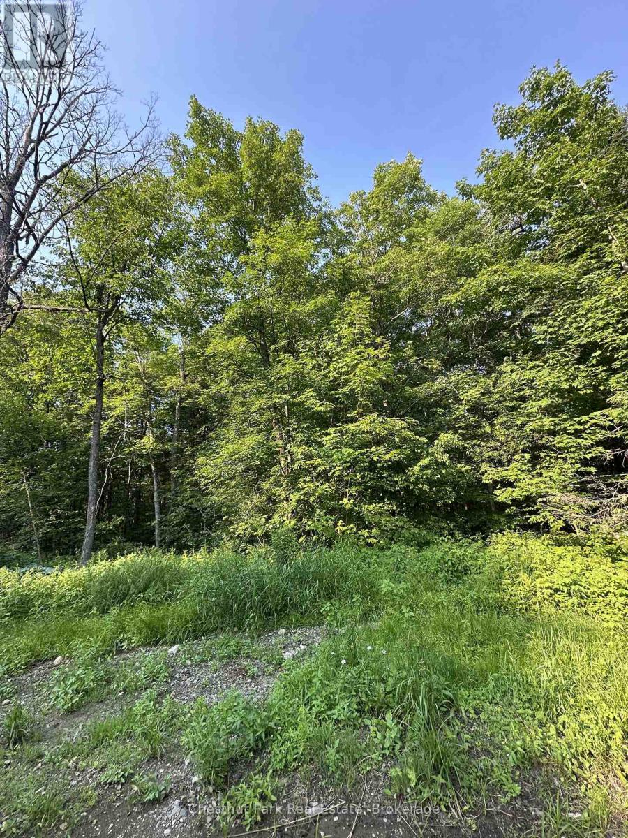 50 Rose Bush Lane, Perry, Ontario  P0A 1J0 - Photo 9 - X13508170