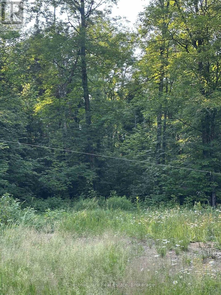 50 Rose Bush Lane, Perry, Ontario  P0A 1J0 - Photo 10 - X13508170