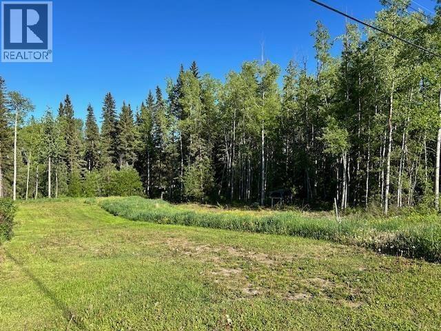 2080 Poplar Avenue, Vanderhoof, British Columbia  V0J 3A0 - Photo 2 - R3142287