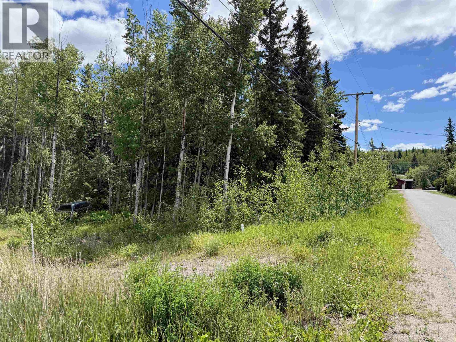 2080 Poplar Avenue, Vanderhoof, British Columbia  V0J 3A0 - Photo 6 - R3142287
