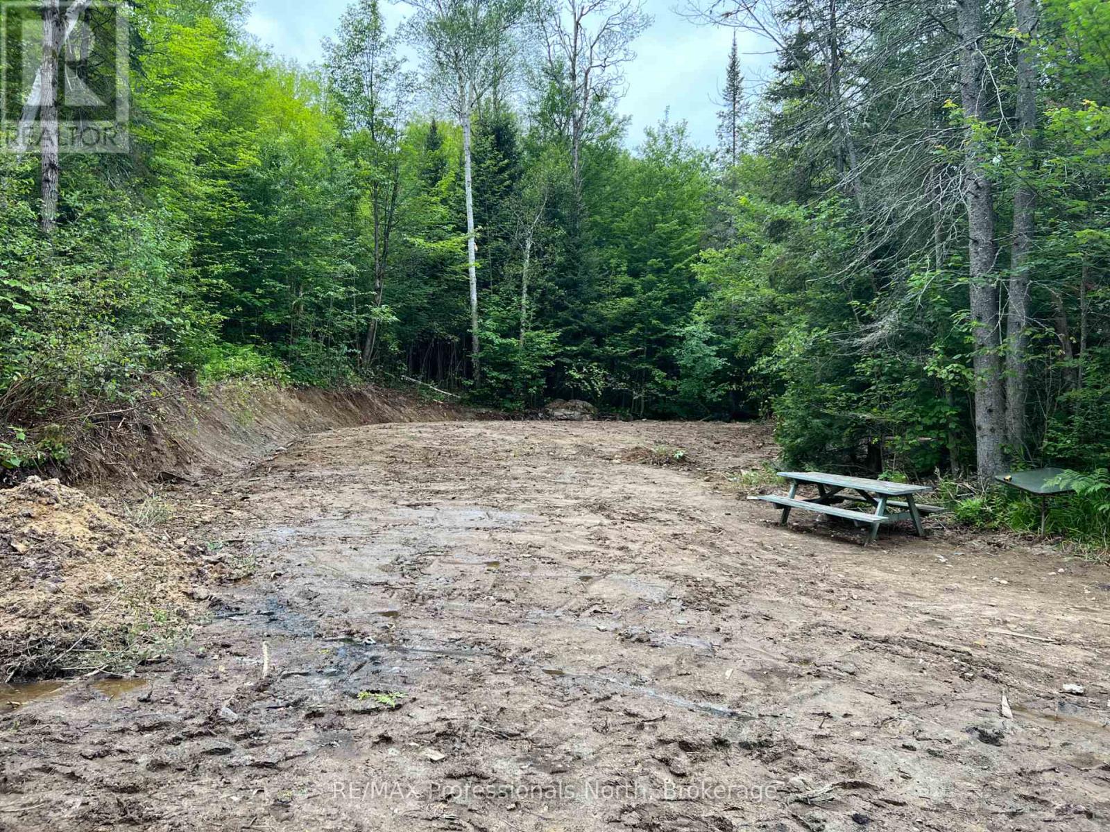 1291 Highway 520, Ryerson, Ontario  P0A 1C0 - Photo 2 - X13519964