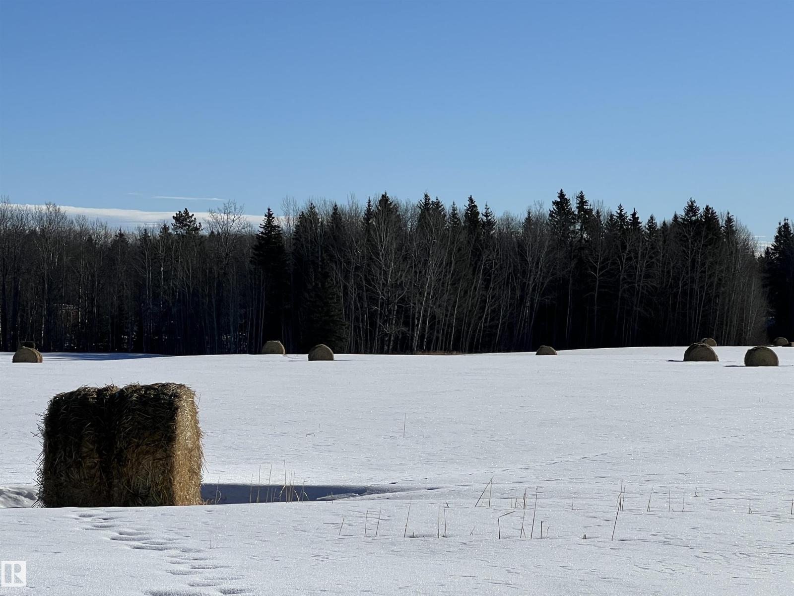 SE-12-49-8- W5m, Rural Brazeau County, Alberta  T0E 1Z0 - Photo 11 - E4478592