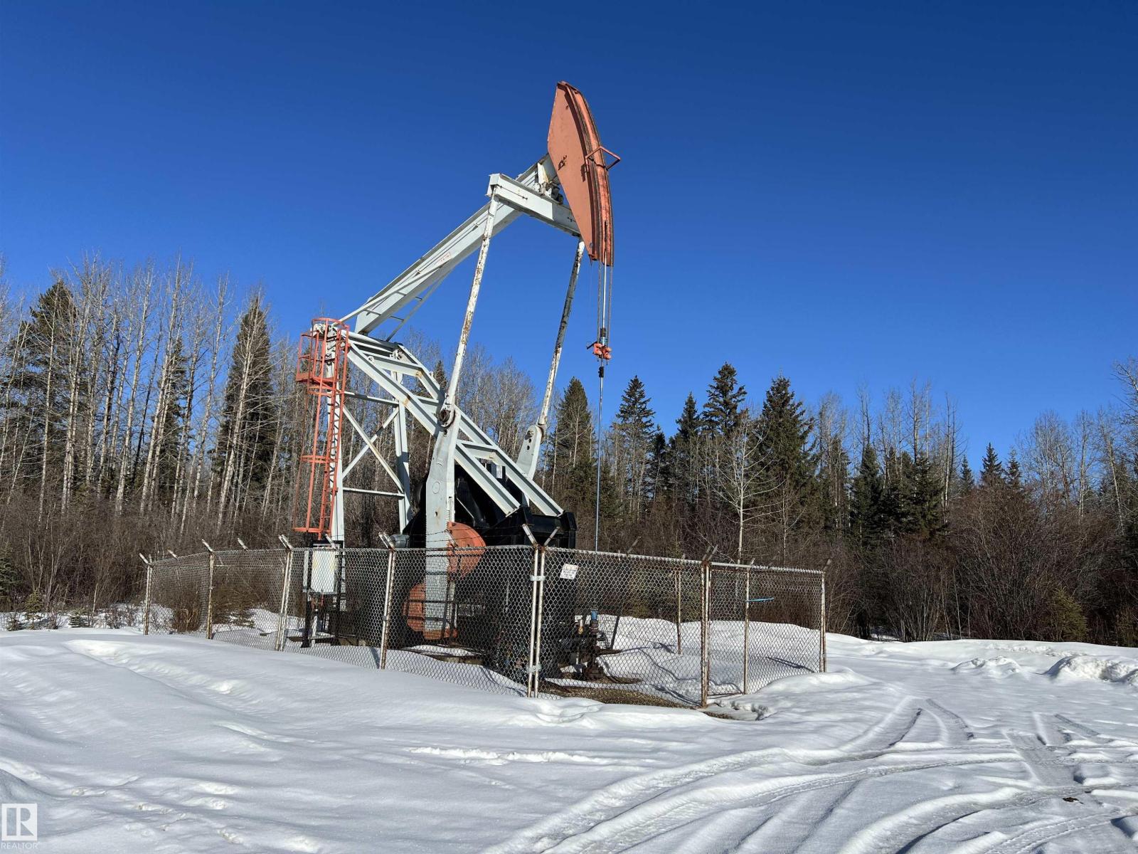 SE-12-49-8- W5m, Rural Brazeau County, Alberta  T0E 1Z0 - Photo 14 - E4478592