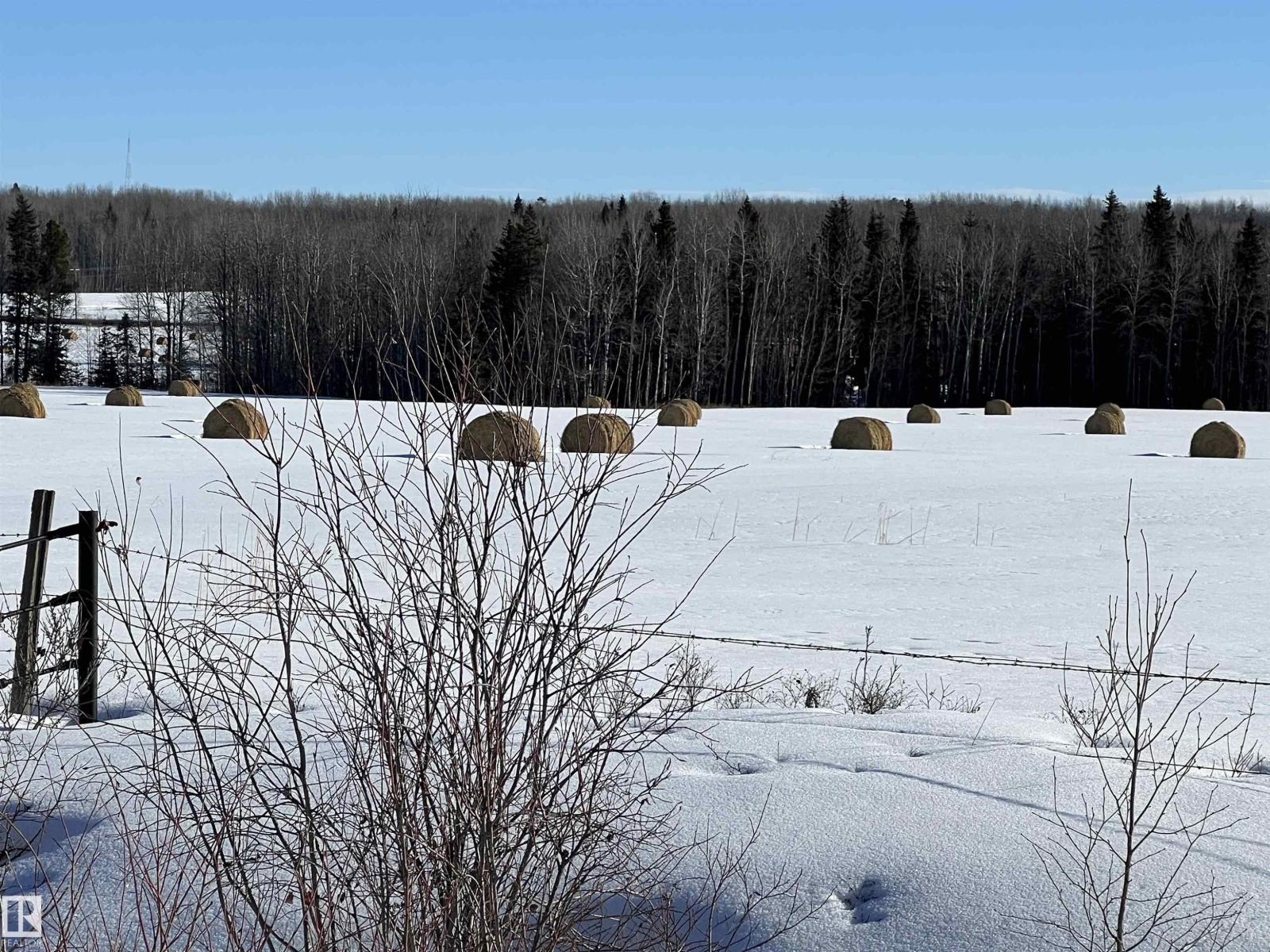 SE-12-49-8- W5m, Rural Brazeau County, Alberta  T0E 1Z0 - Photo 19 - E4478592