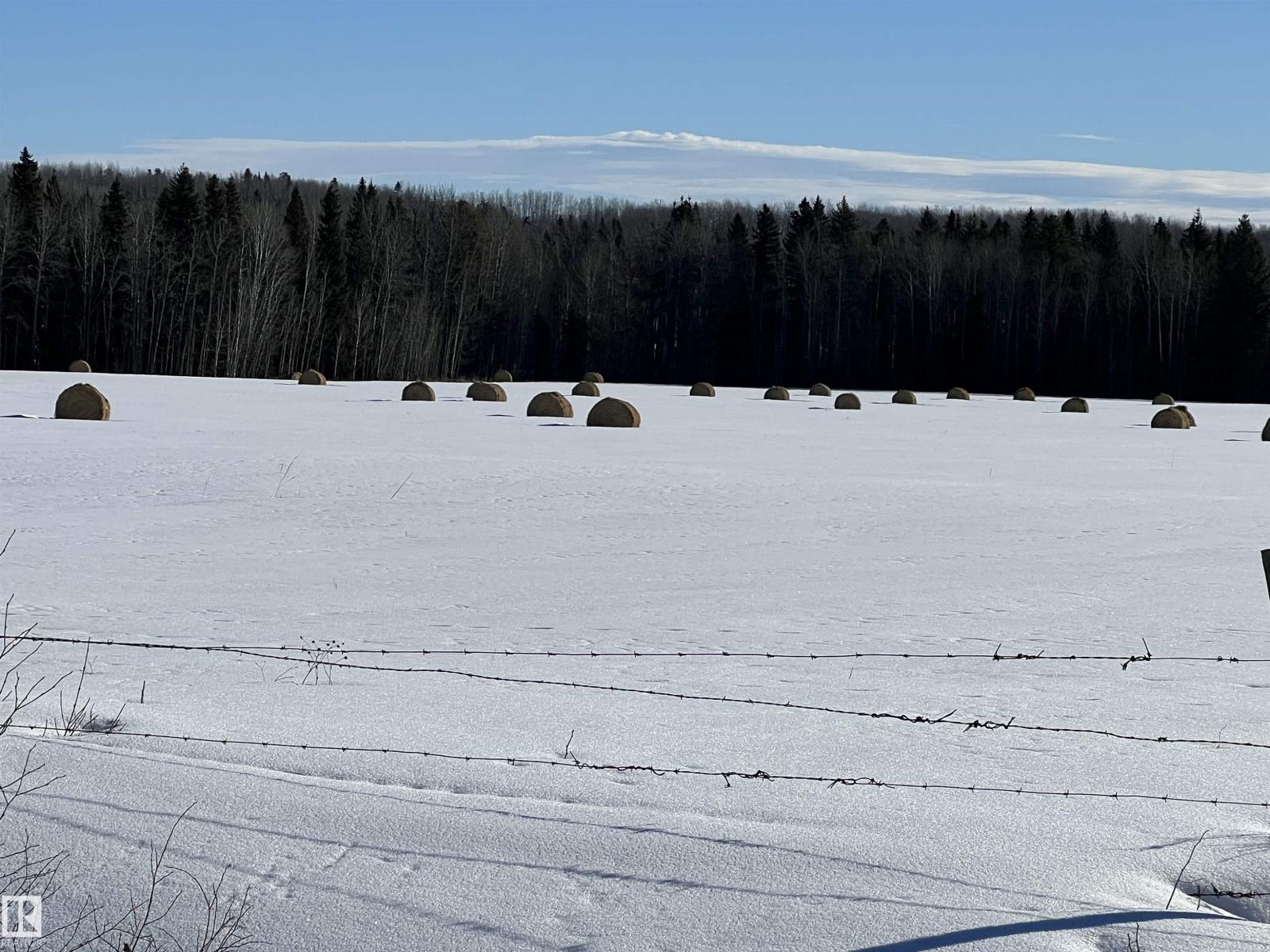 SE-12-49-8- W5m, Rural Brazeau County, Alberta  T0E 1Z0 - Photo 21 - E4478592