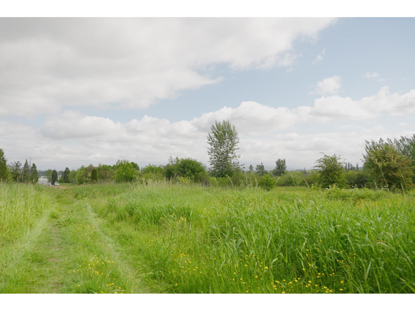 21326 48 Avenue, Langley, British Columbia  V3A 3M5 - Photo 8 - R3142323