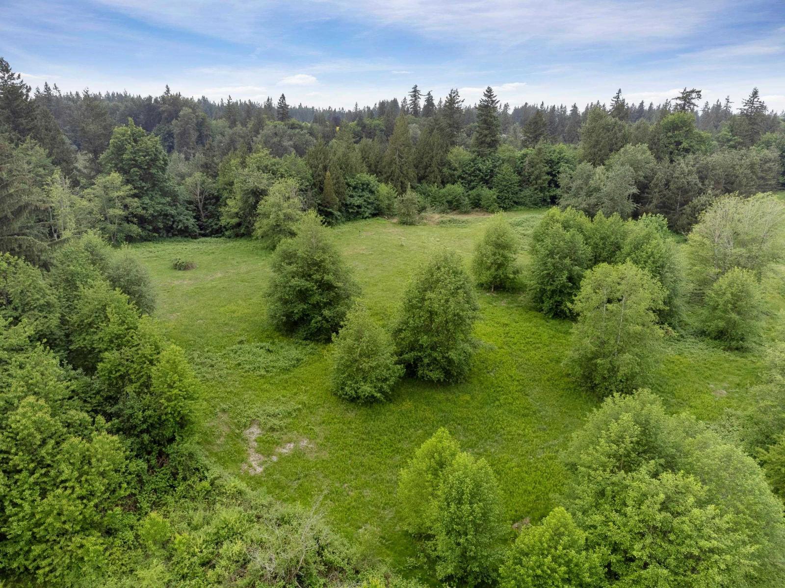 21326 48 Avenue, Langley, British Columbia  V3A 3M5 - Photo 6 - R3142323