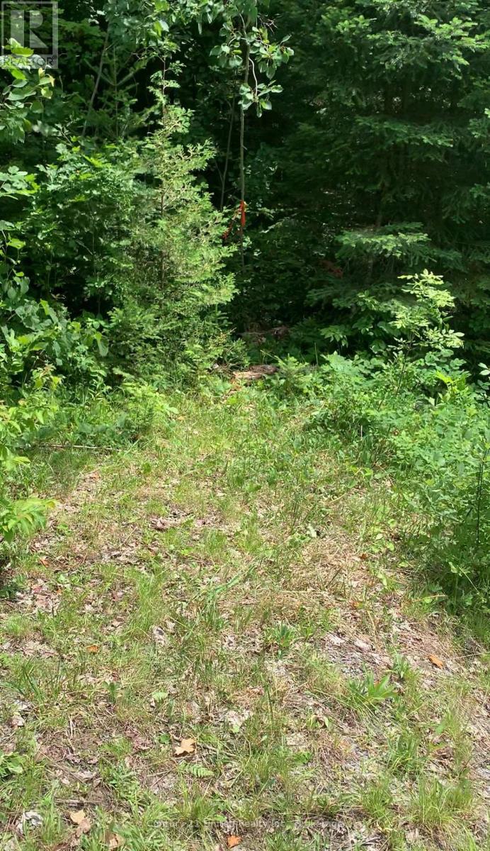 N/a Highway 28 (North Lot), Highlands East, Ontario  K0L 1C0 - Photo 11 - X13517678