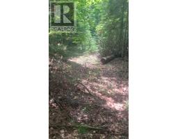 N/A HIGHWAY 28 (NORTH LOT), Highlands East, Ontario