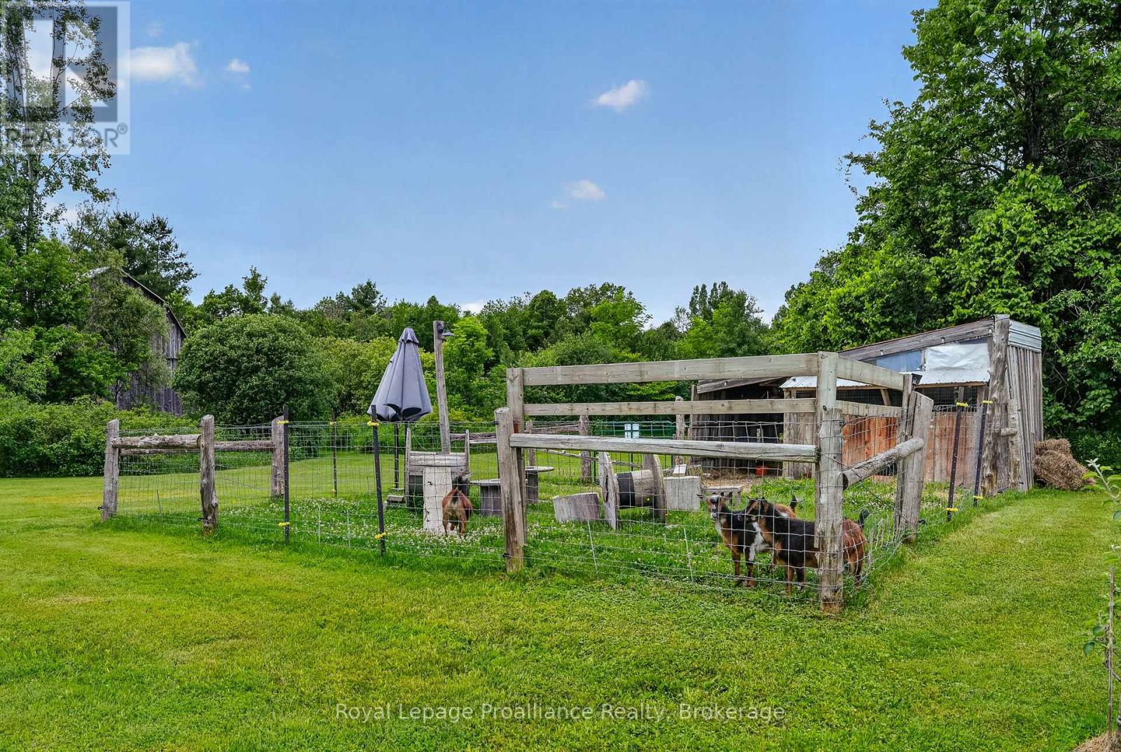 3570 Shelter Valley Road, Alnwick/haldimand, Ontario  K0K 2G0 - Photo 40 - X13520304