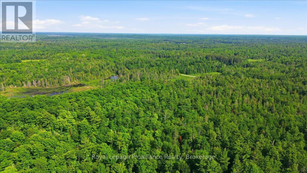 0 O'donnell Road, Addington Highlands, Ontario  K0H 2G0 - Photo 1 - X13520416