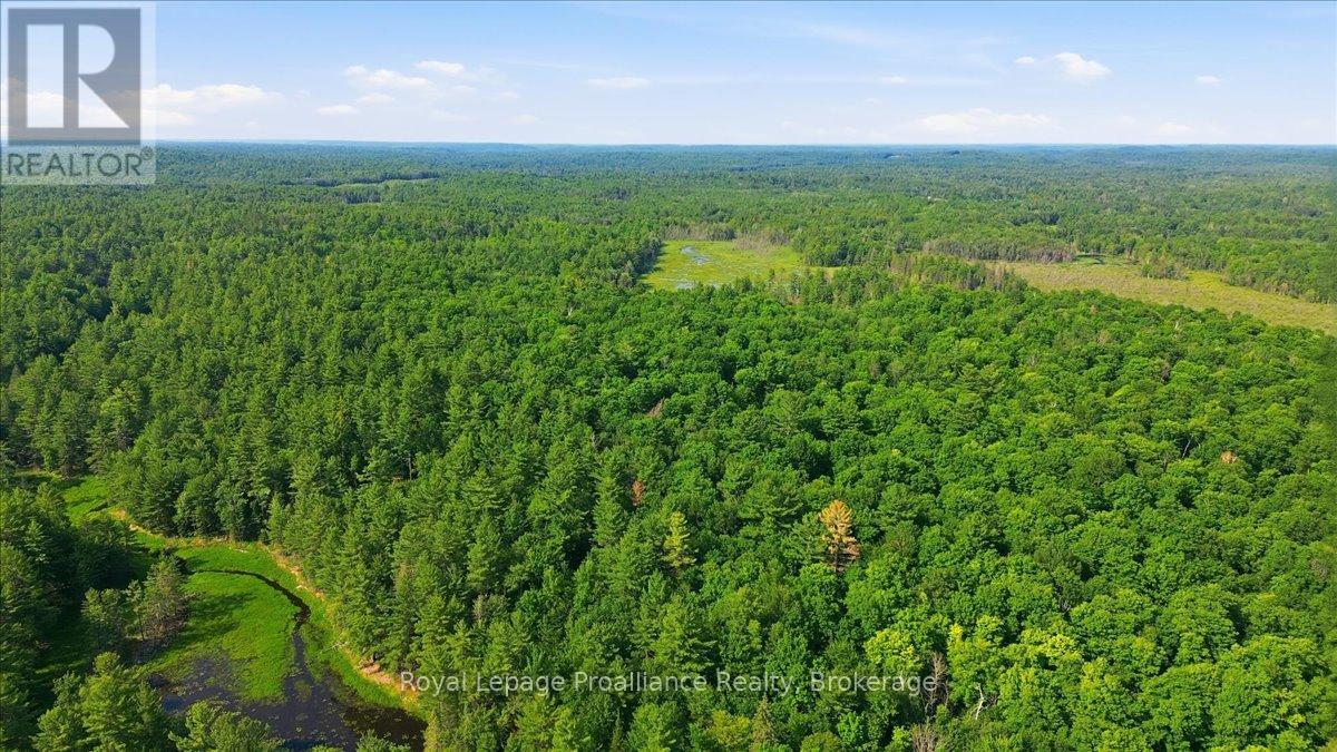 0 O'donnell Road, Addington Highlands, Ontario  K0H 2G0 - Photo 10 - X13520416