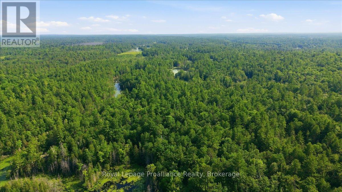 0 O'donnell Road, Addington Highlands, Ontario  K0H 2G0 - Photo 11 - X13520416