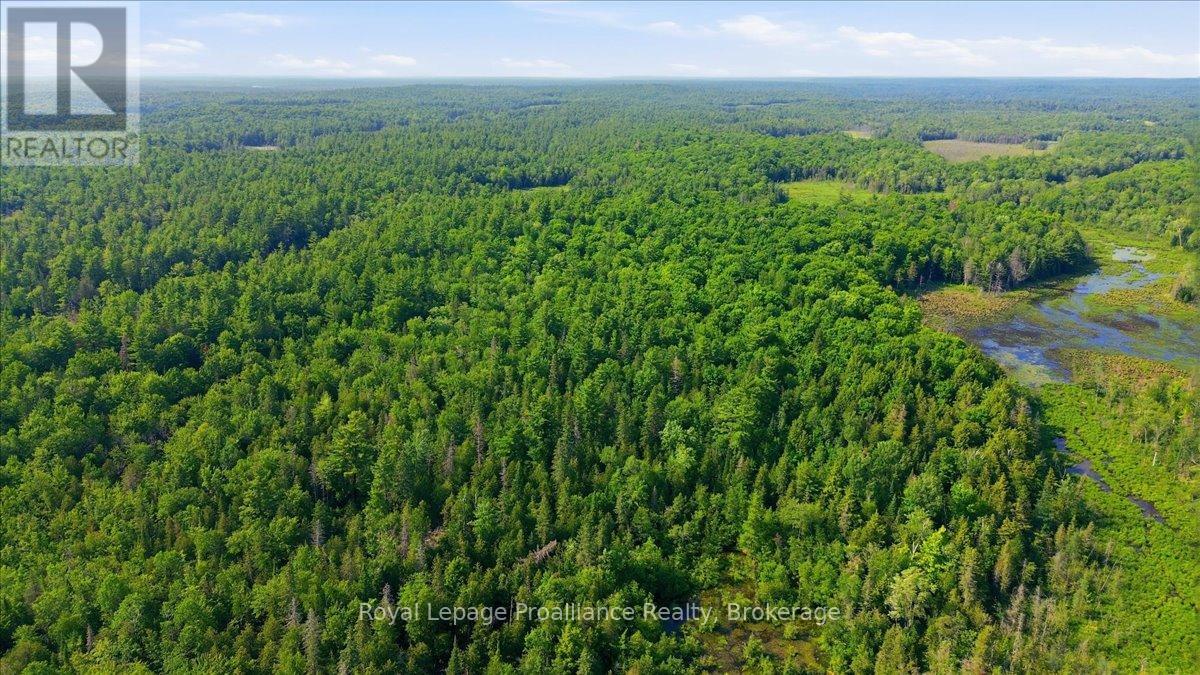 0 O'donnell Road, Addington Highlands, Ontario  K0H 2G0 - Photo 14 - X13520416